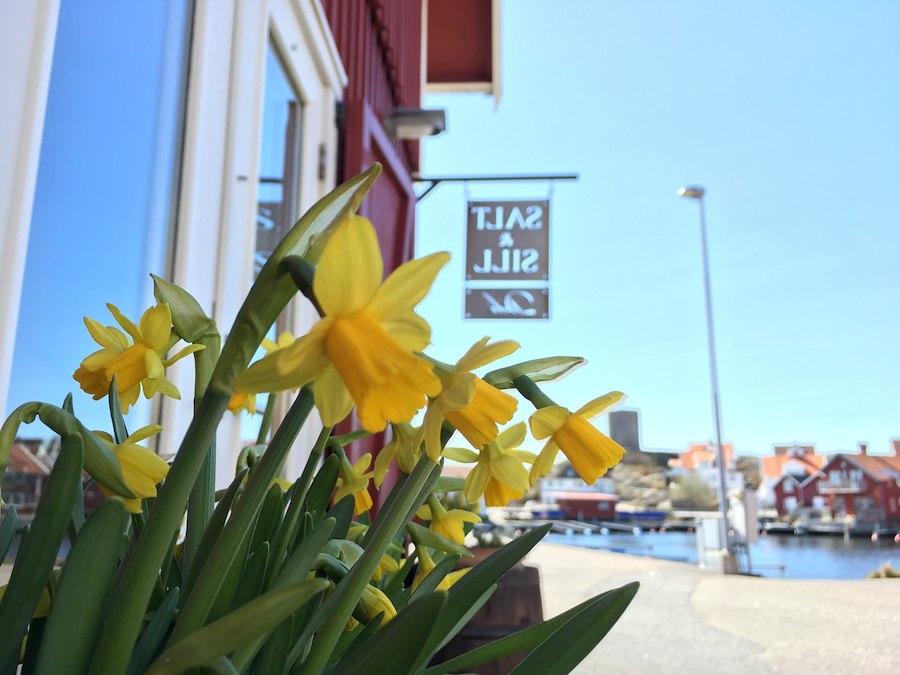 Primary image of Easter package