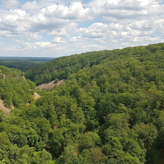 Natural areas nearby-image