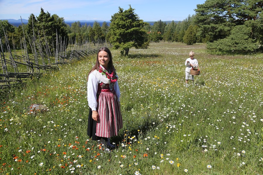 Primary image of Midsummer offer in Tällberg