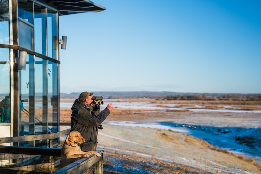 Primärbild av Öl och örn-paket