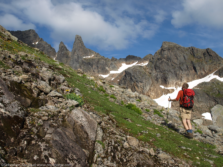 Summer in Vesterålen-image