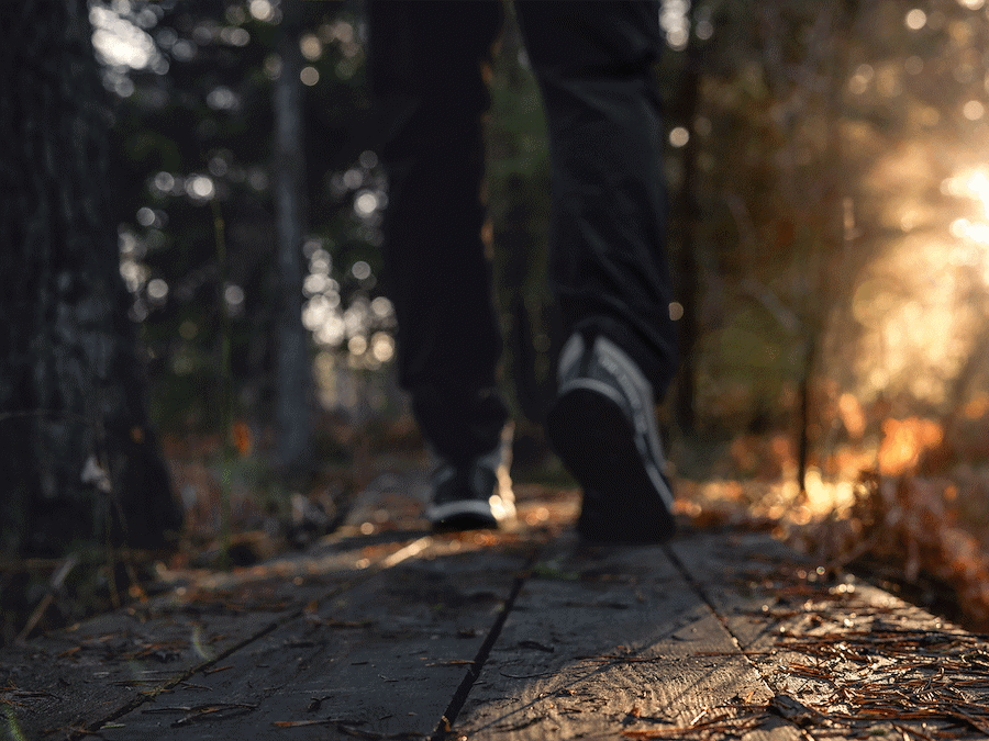 Primärbild av Utflyktspaket