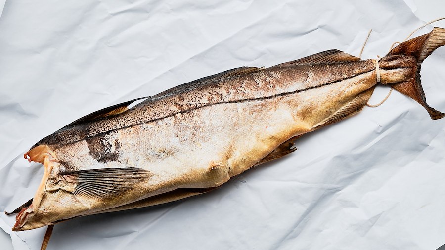 Fiskekurs - Sagene