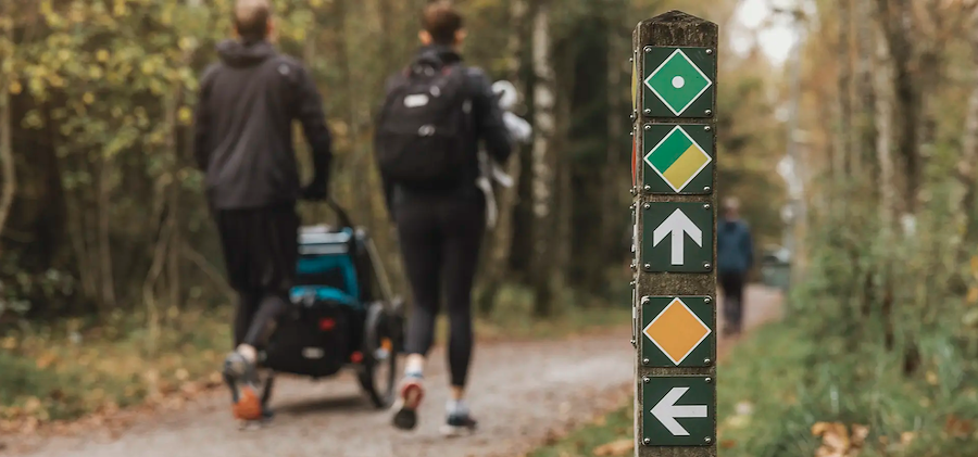 Primärbild av Skrylleupplevelsen - Vandring & Middag