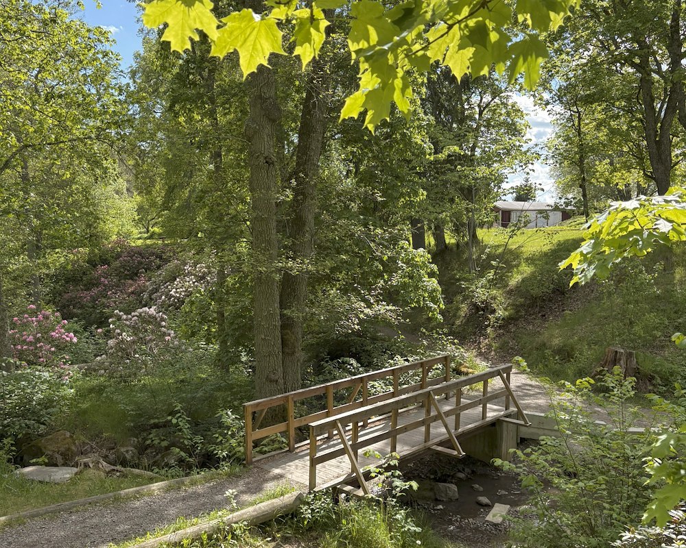 Guldkant på tillvaron