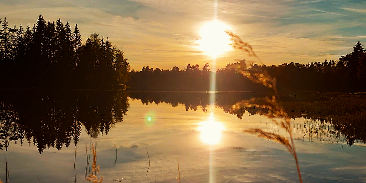 Äppelbo Gästgiveri image 0