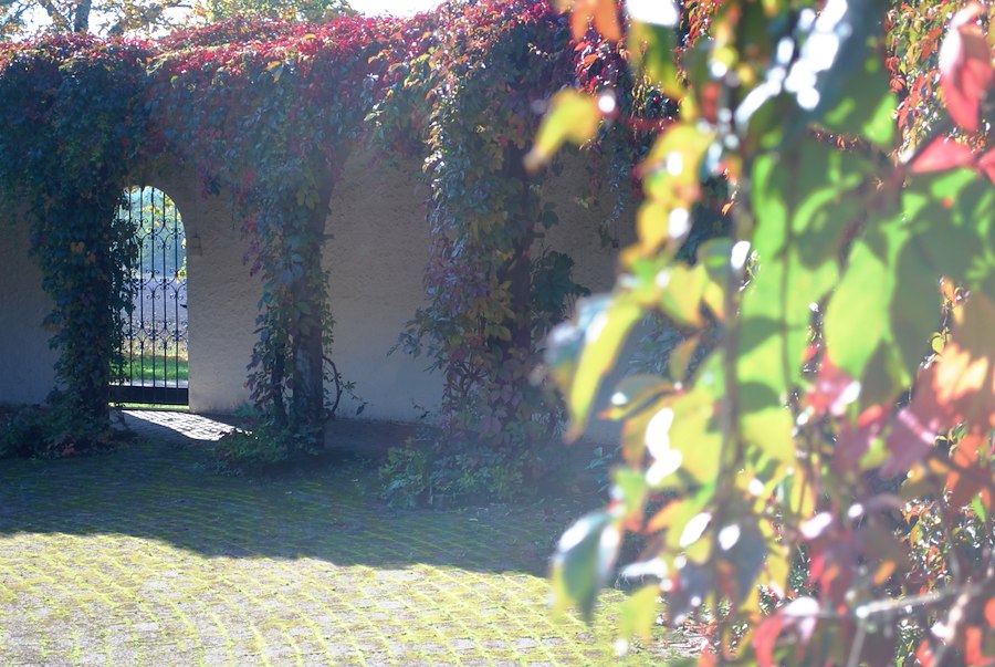 Primärbild av HÖSTLOV