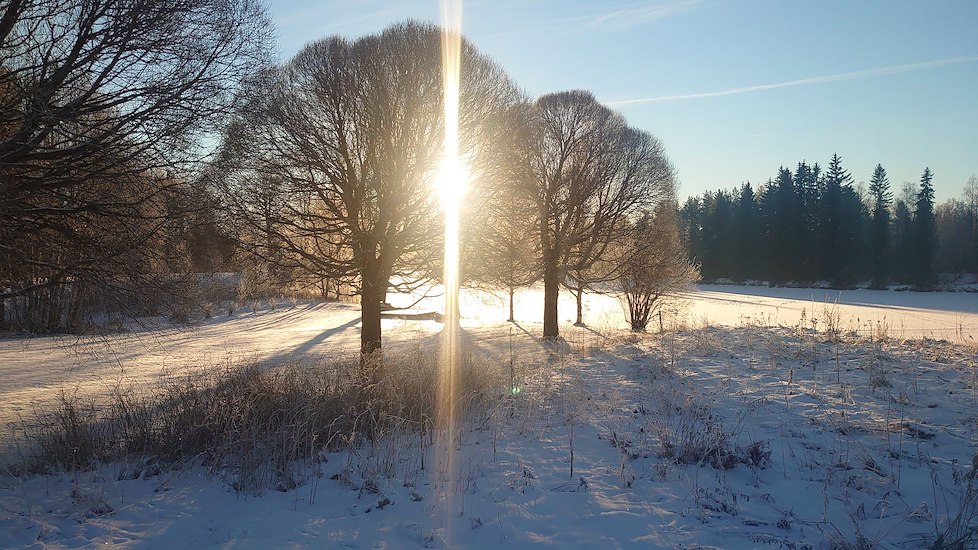 Vinteraktiviteter-image