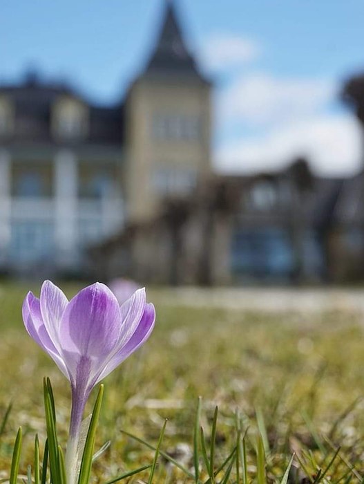 Primærbilde av PÅSKEFERIE VED OSLOFJORDEN