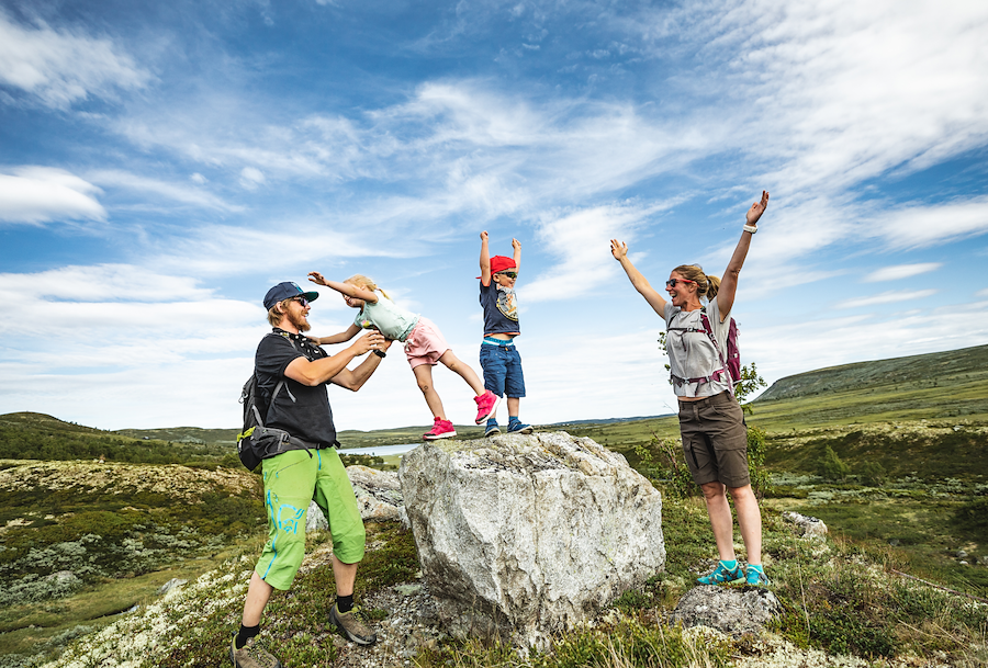 Primærbilde av Sommer på fjellet | Leiligheter