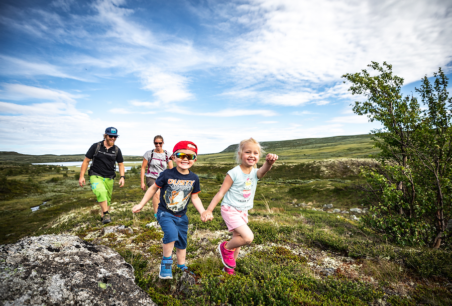 Primærbilde av Sommer til fjells | Highland Lodge