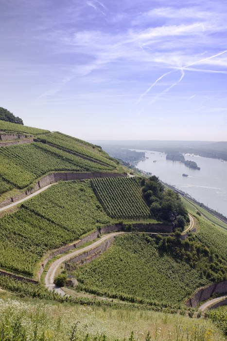 Primärbild av Winemakers Dinner 23-24 maj