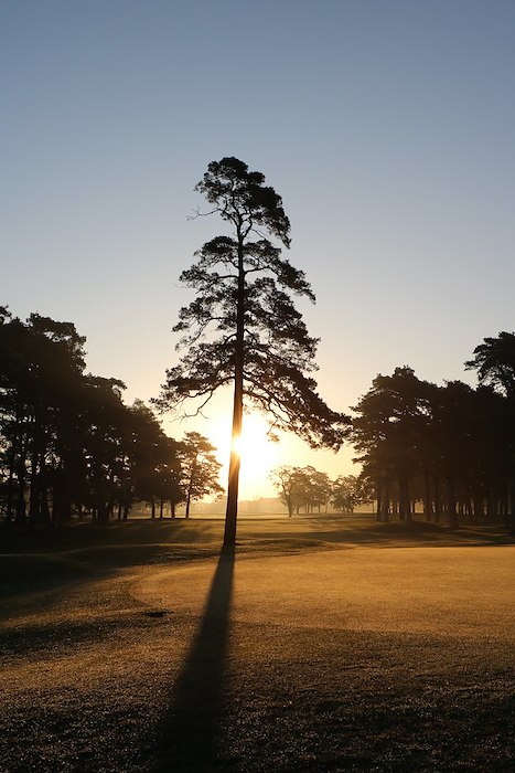 Primärbild av Erbjudande! Golf Mitt i Veckan!