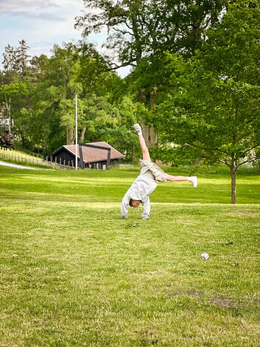 Primärbild av Sommar på Sånga