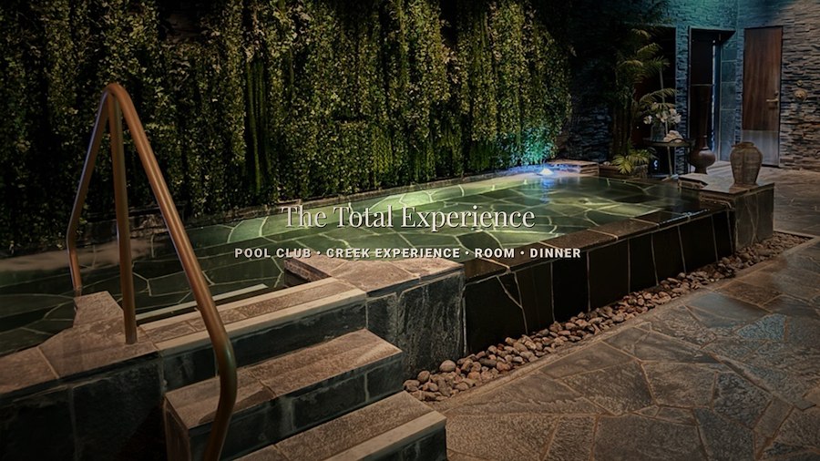 THE TOTAL EXPERIENCE