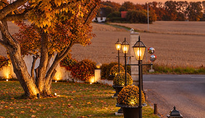 Boka Autumn Bliss