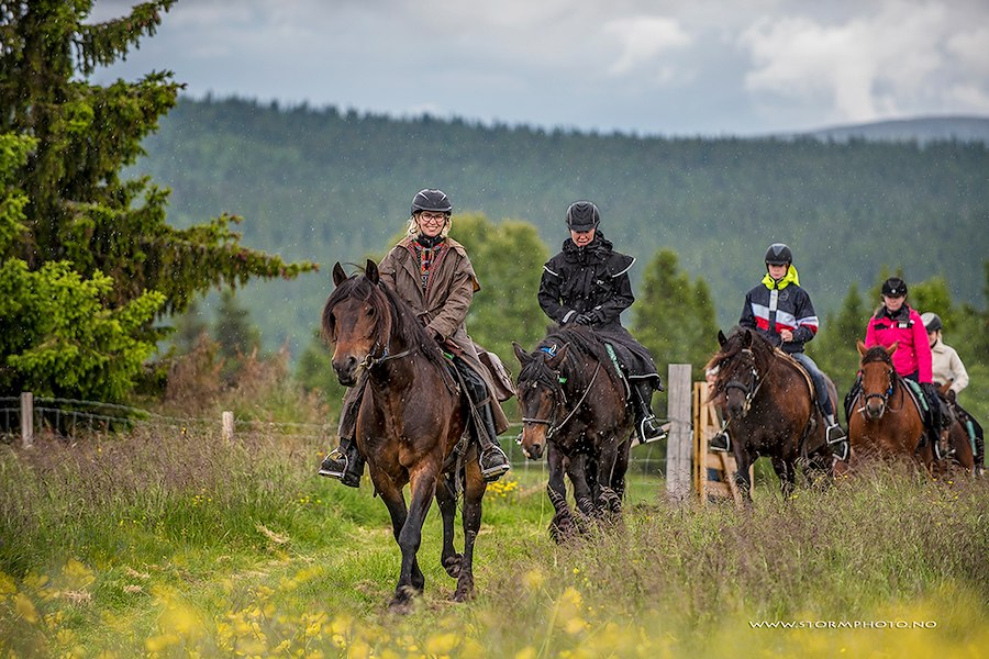 Primærbilde av Rideferie for begynnere (Venabustallen)