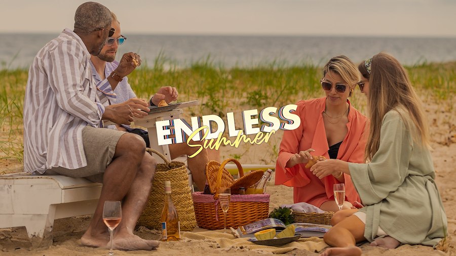 Primary image of ENDLESS SUMMER