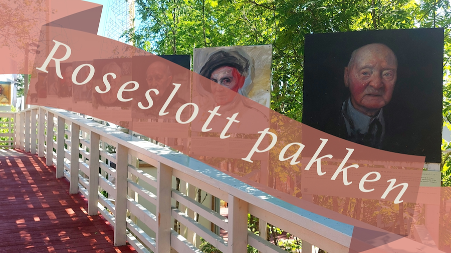 Primærbilde av Roseslott pakken