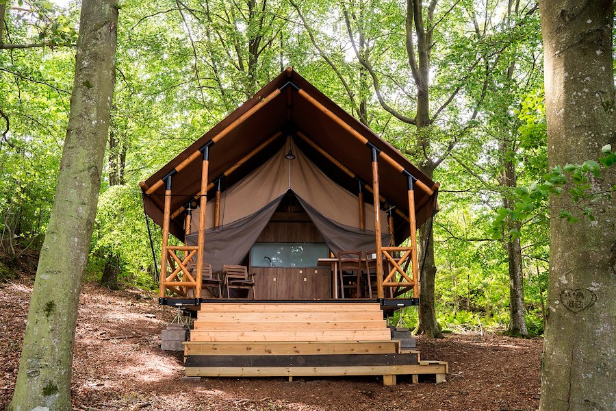 Glamping tent in beech forest