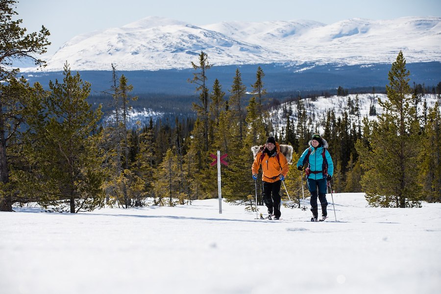 Primärbild av Turskidor grundkurs 27/2 - 1/3 & 20-22/3