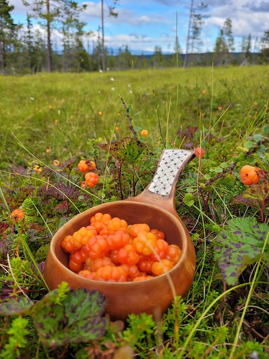 Primärbild av Sista minuten