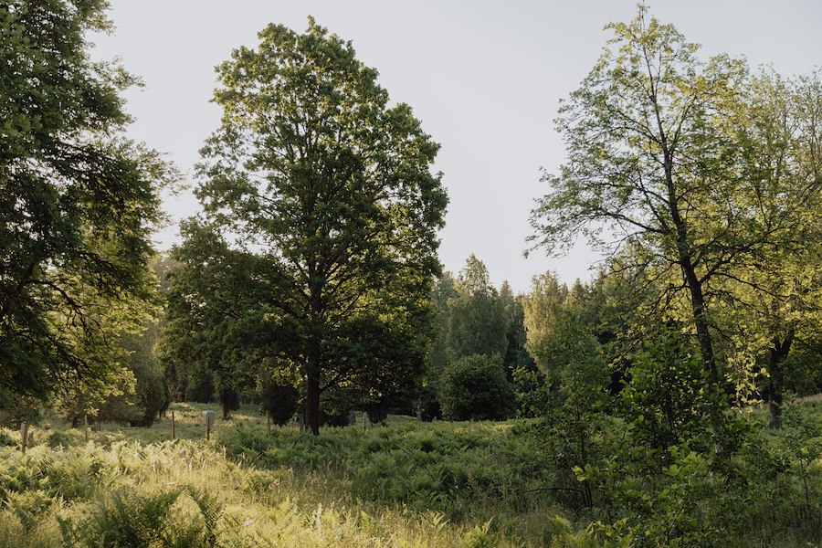Primärbild av Sommarmöteskampanj