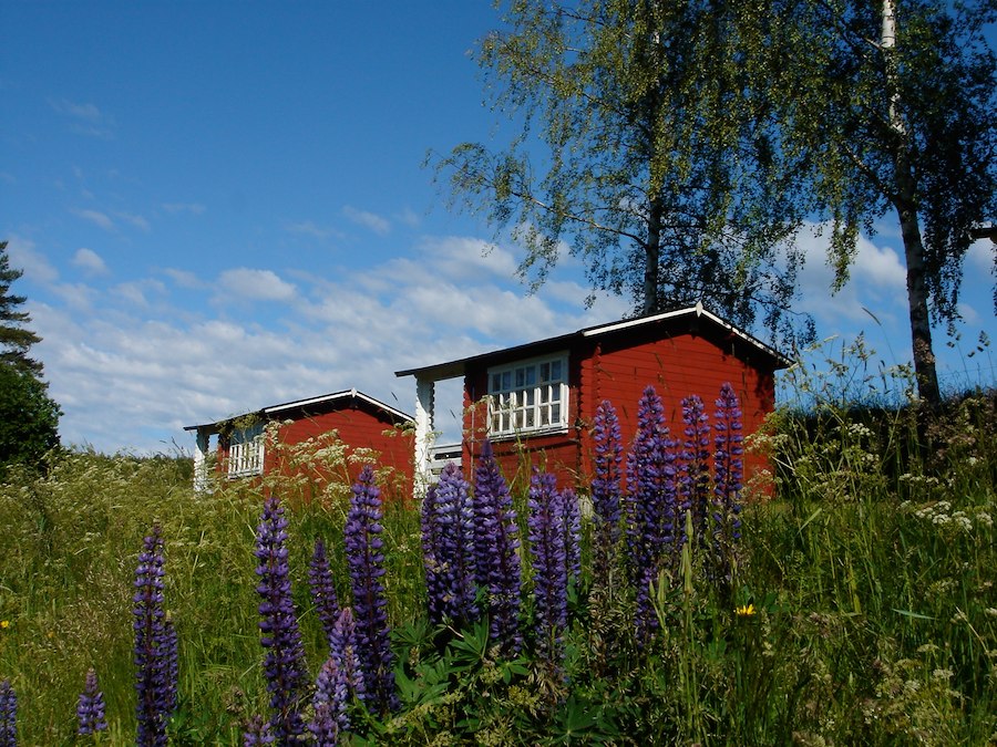 Cottage (4 beds, 10 sq m, without WC/shower)