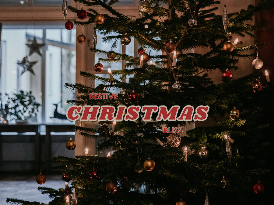 Primary image of Festive Christmas Bliss