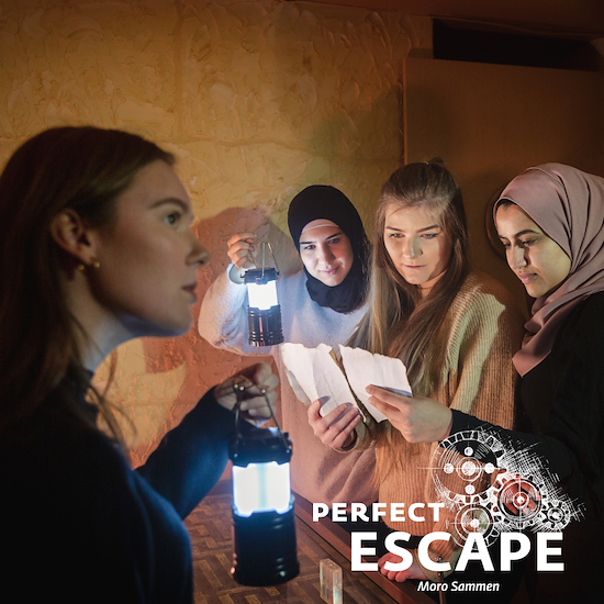 Activities - Perfect Escape-image