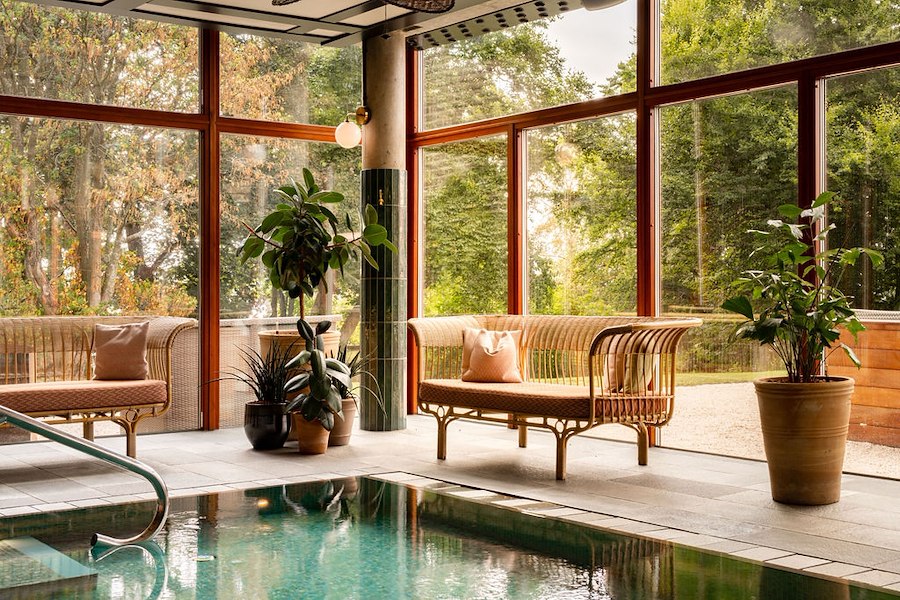 Primärbild av EARLY BIRD