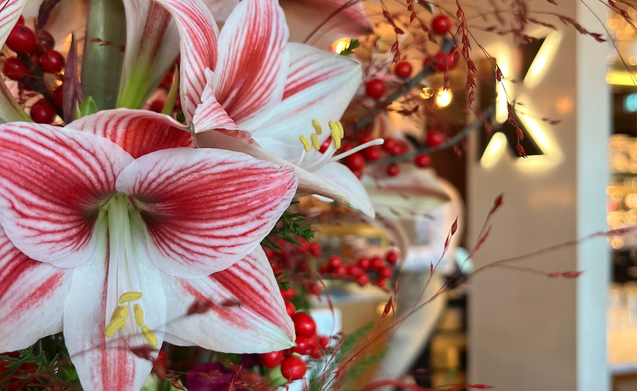 Primary image of Christmas Getaway