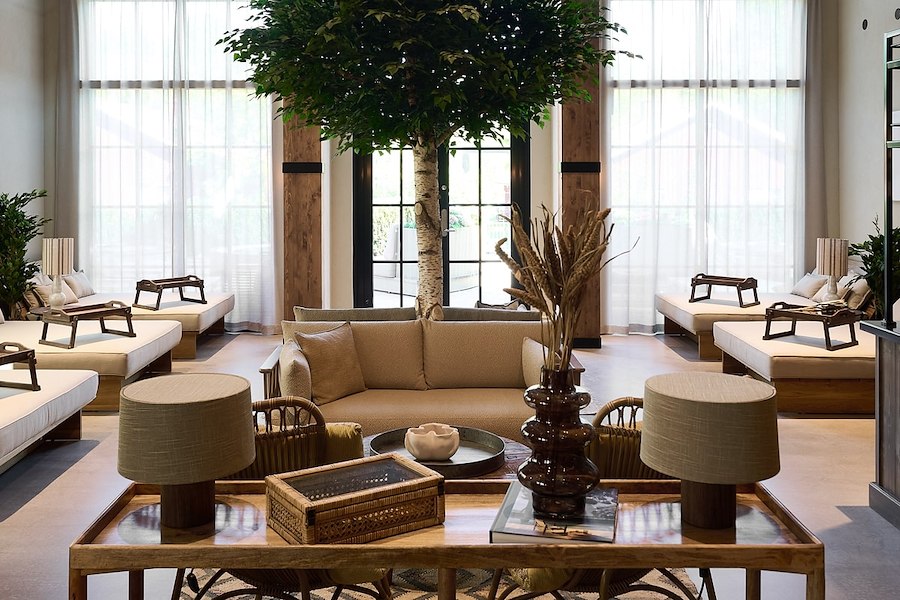 Primärbild av Early bird