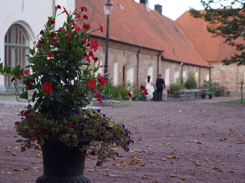 Bäckaskog Slott image 48