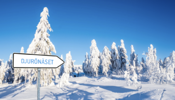 Primärbild av After Ski-party