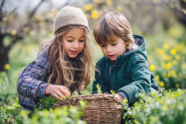Primary image of Påskpaket