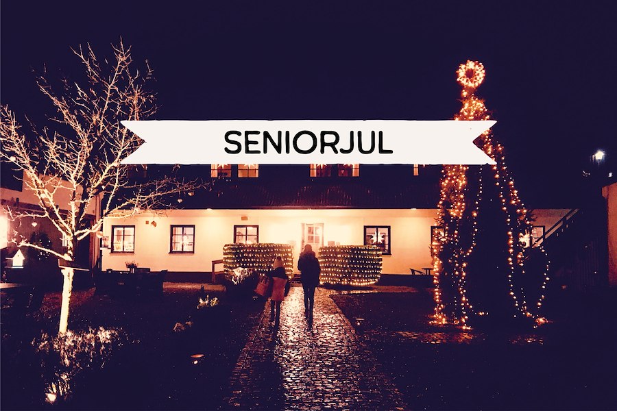 Primärbild av SENIORJUL