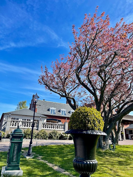 Primary image of Vårdeal - 50%