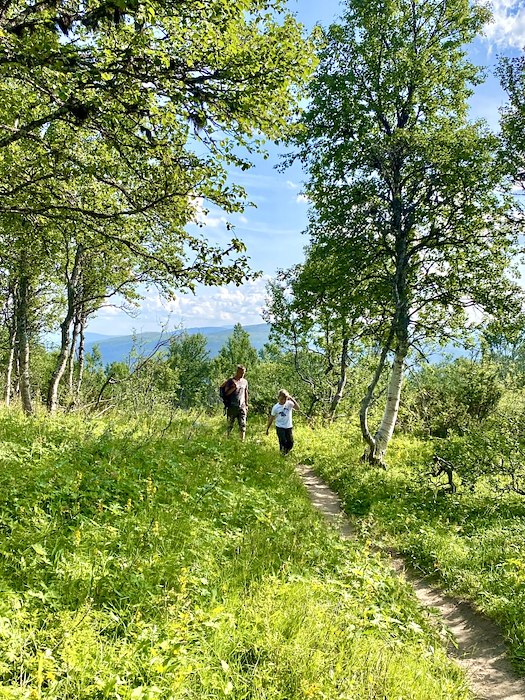 Primary image of Hiking & White sheets