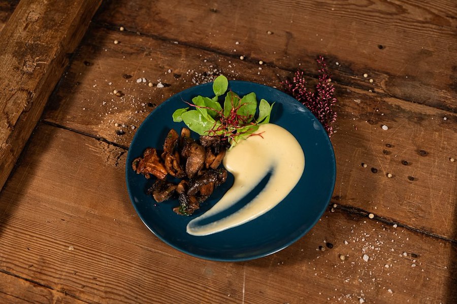 Primærbilde av Viltdøgn