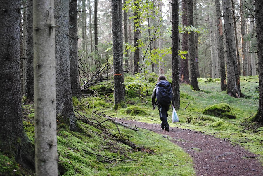 Primary image of Hiking pakage