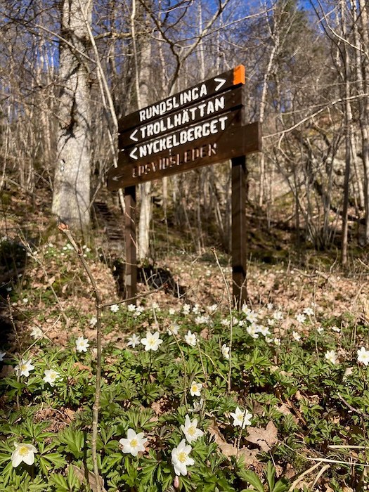 Primary image of Hikingpackage