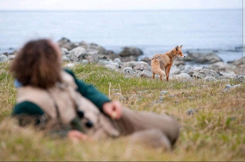 Porsangerfjorden-image