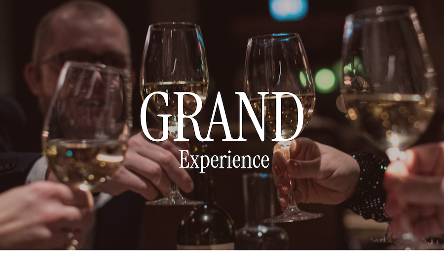 Primært billede af The Grand Experience