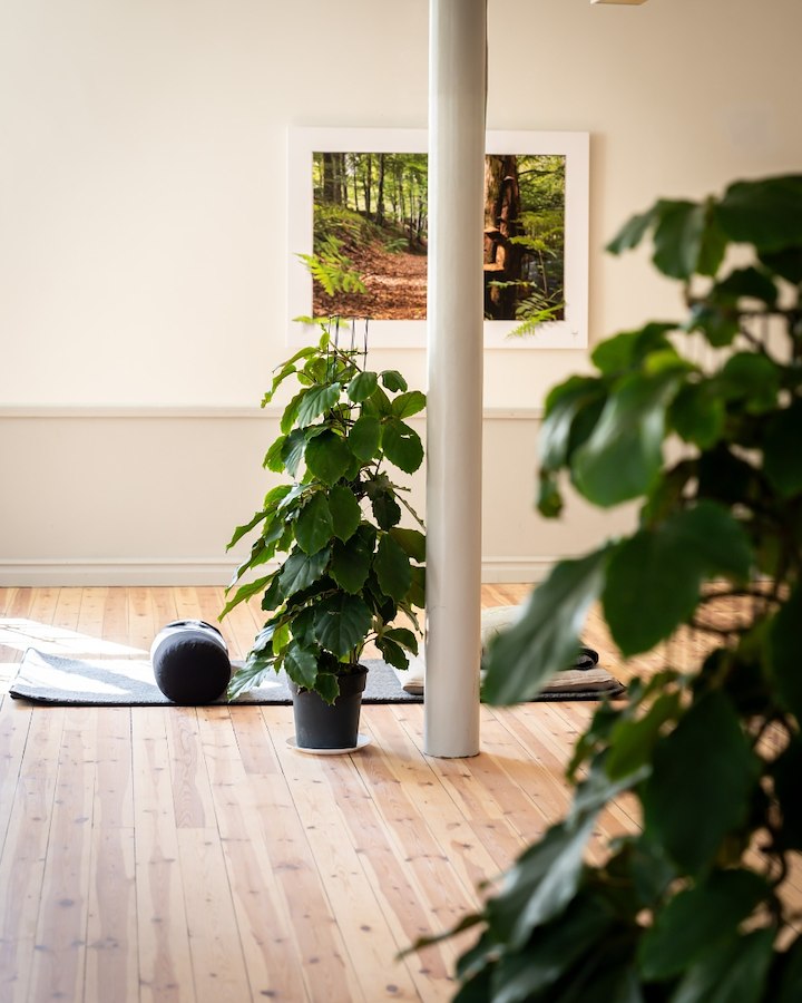 Tre timmar i stillhet- Yoga med Lovisa