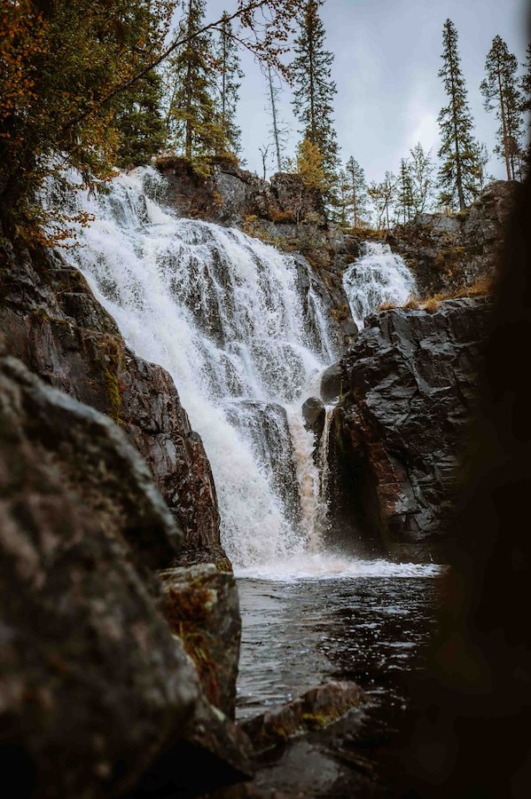Den trolska skogen vid brudslöja - all inclusive