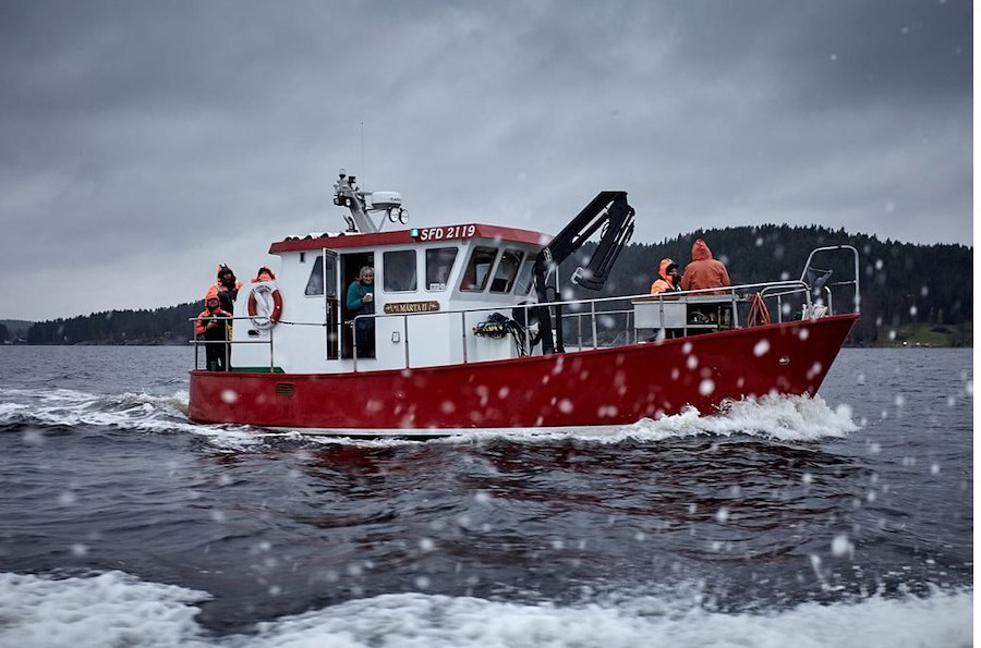 Primary image of Mussel expedition, dinner & cabin coziness