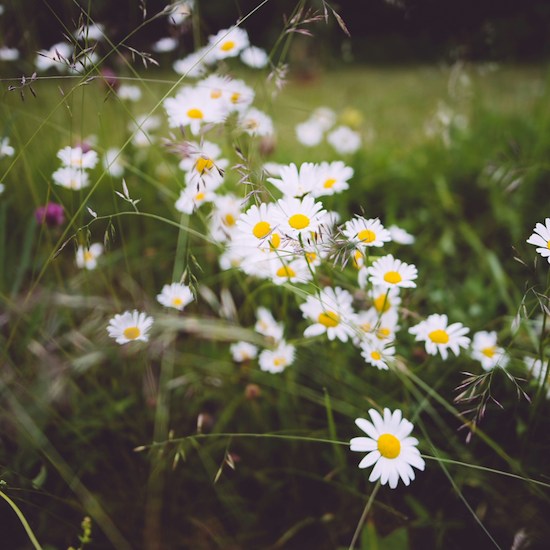 Frequently Asked Questions-image