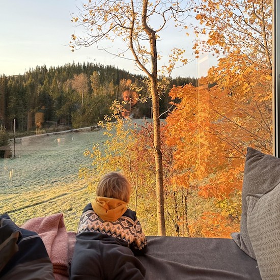 Nyt høsten i en tretopphytte -image