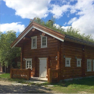Log Cabin image